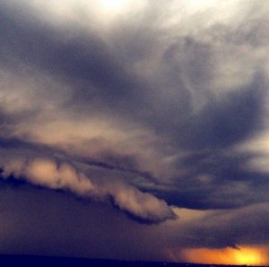 18506_912845098738913_6080820081871450246_n