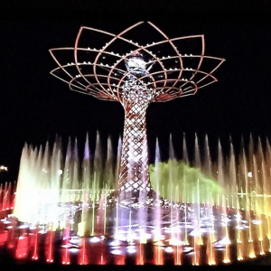 Expo 01