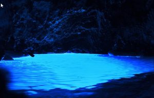 PALINURO 4