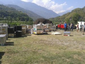 Pma_nepal_d0