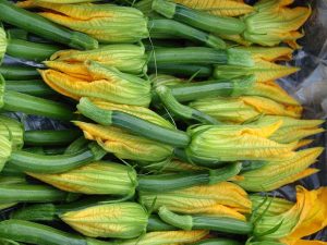 ZUCCHINE 2