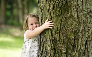 abbracciare alberi