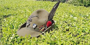corpo alpini cappello