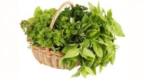 aromatiche500