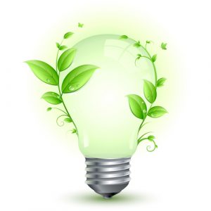 ecolamp1