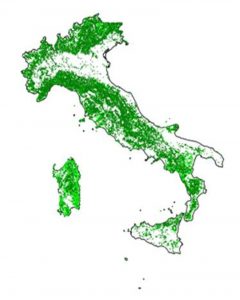 foreste-italia