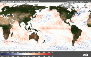 Gli effetti del nuovo evento di "Nino" in fase di intensificazione lungo il bacino dell'oceano Pacifico