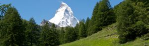 monte