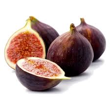 FIORONI 1