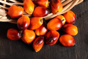 Oil palm fruit