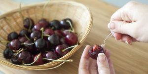 RICICLO NOCCIOLI