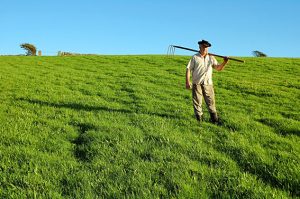 agricoltura