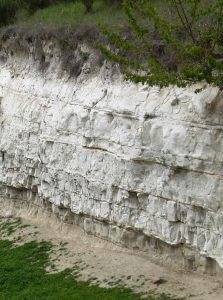 Bbase dei sedimenti lacustri biancastri del MIS 19c con i livelli di ceneri vulcaniche datati (strati sottili arancioni) che ne hanno permesso di ottenere un preciso quadro cronologico della successione