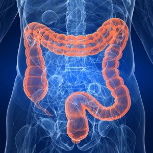 flora-batterica-intestinale