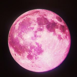 luna rosa (9)