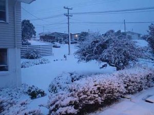 snow-newlands-road