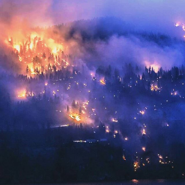Cape Horn fire