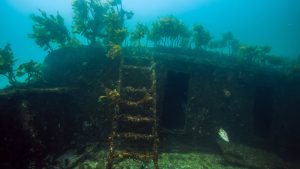 Wreck of Rainbow Warrior I in New Zealand Tauchen zum Wrack der Rainbow Warrior