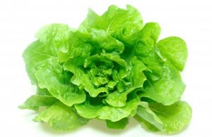 LATTUGA