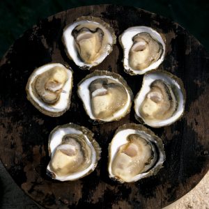 Oysters_Damir Fabijanic