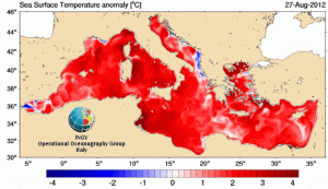 SST_anom_map4