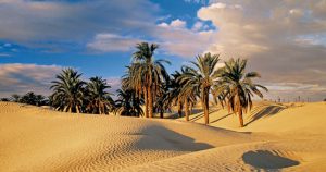 deserto-bianco-grandi-viaggi