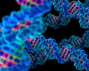 dna
