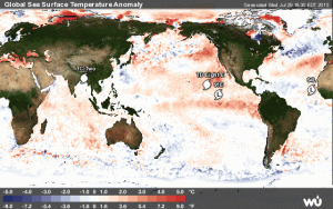 Le anomalie superficiali delle acque oceaniche mostrano l'evidente presenza di "Nino" ormai prossimo alla fase "strong"