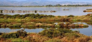 laguna orbetello