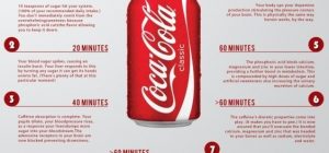 o-INFOGRAFICA-570-564x264