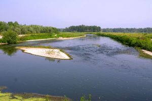 parco del ticino vigevano