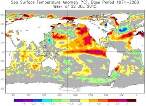 Si nota la vasta striscia di acque calde estesa fino alle coste sudamericane