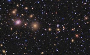 stelle ammasso