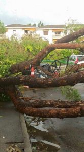 tornado venezia (1)