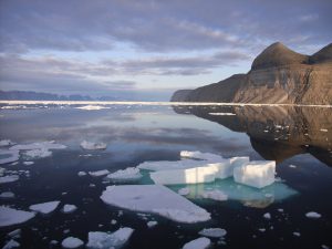 Gli effetti delle temperature largamente positive registrate sulle isole del mar Glaciale Artico