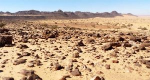 deserti