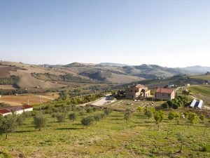 fattoria 01