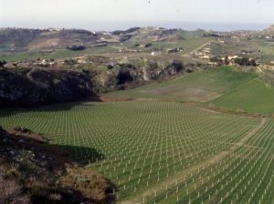 geositi siciliani 02