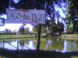 lago tigli