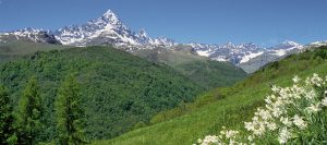 monviso