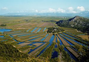 _04 Delta del Neretva_by_Josip Madracevic