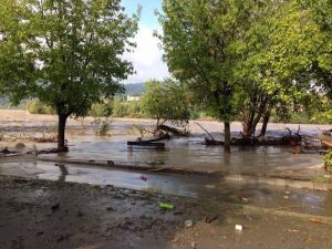 Alluvione Emilia fiume piena (12)