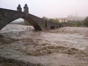 Alluvione Emilia fiume piena (13)