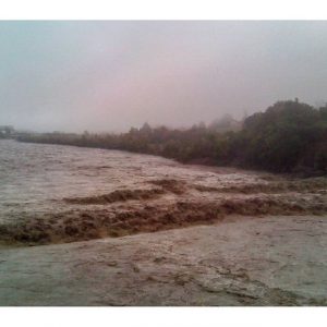Alluvione Emilia fiume piena (7)