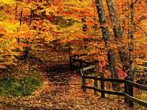 EQUINOZIO AUTUNNO OK 1