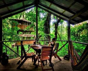 FINCA 6