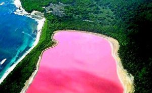 LAGO-HILLIER-COP
