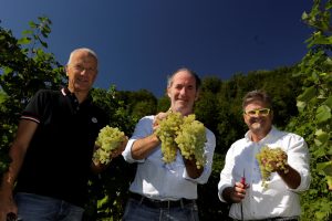 LM_060915_Giuseppe Pan, assessore regionale all'agricoltura, Luca Zaia, governatore del Veneto ed Ernesto Balbinot, titolare de Le Manzane
