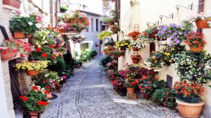 SPELLO