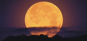 SUPERLUNA 241